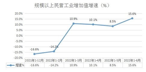 (內(nèi)蒙古自治區(qū))興安盟2022年上半年規(guī)模以上民營工業(yè)經(jīng)濟(jì)穩(wěn)中有進(jìn)